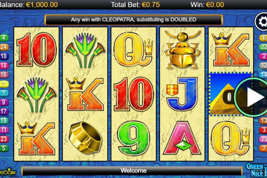 EUR 88 Casino chip at Wild Blaster Casino
