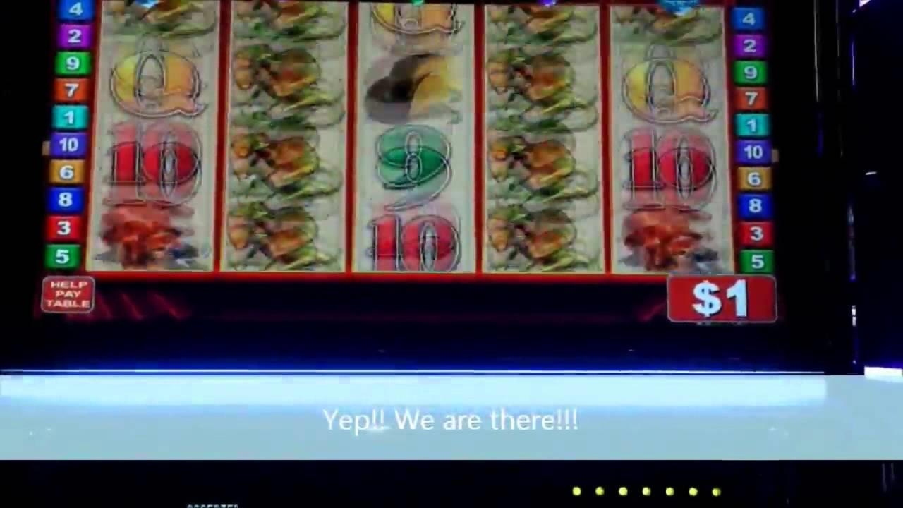 Eur 3745 No deposit bonus casino at Treasure Island Jackpots Casino (Australia Casino Mirror)