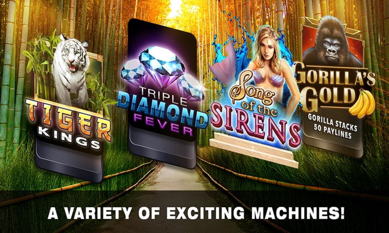 ﻿$240 Free Money at Joy Casino