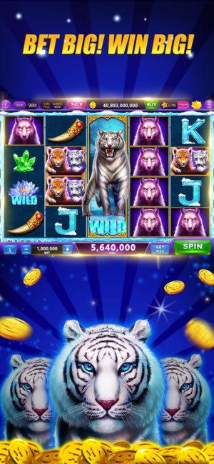 685% Deposit Match Bonus at Wild Blaster Casino