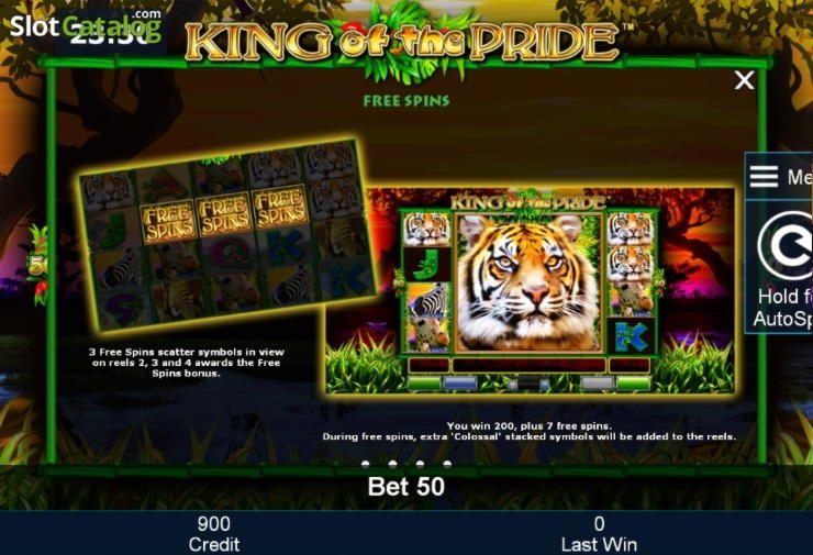 950% No Rules Bonus! at Dunder Casino