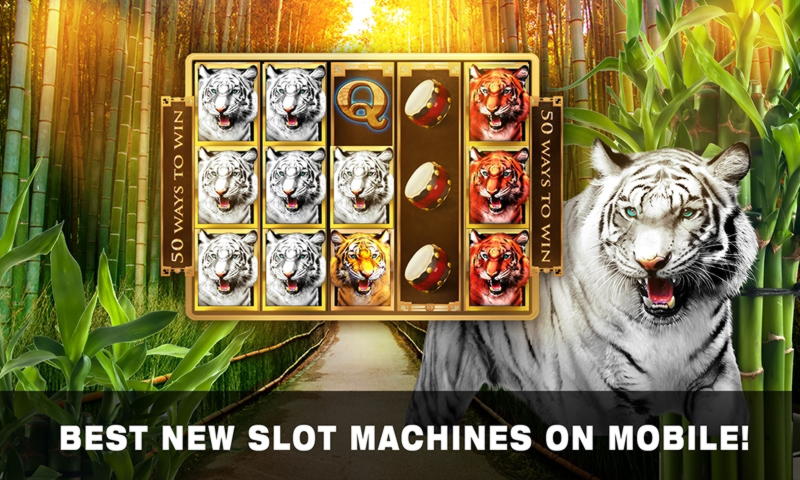 585% No Rules Bonus! at Berlin Casino 