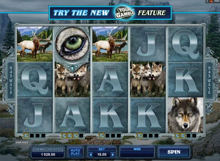 EUR 675 Online Casino Tournament at Wild Blaster Casino
