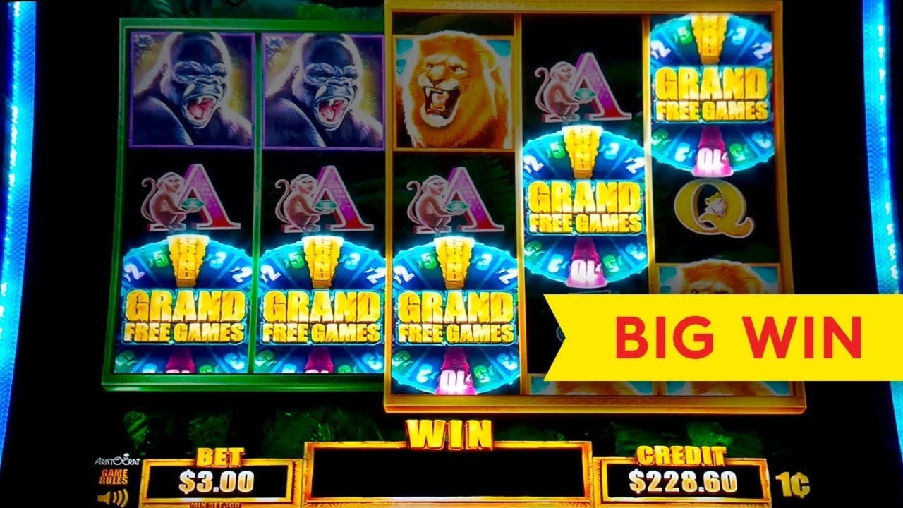180 Free spins casino at Leo Dubai Casino