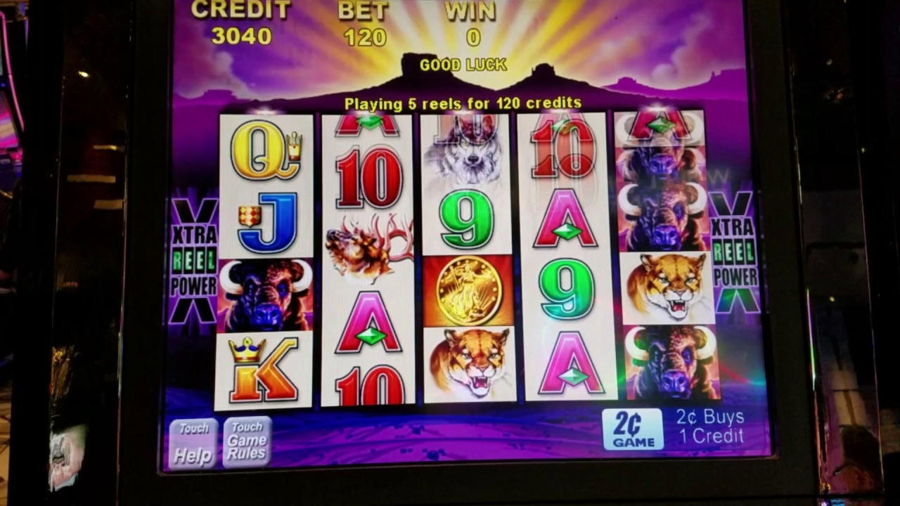 440% Best Signup Bonus Casino at Wild Blaster Casino