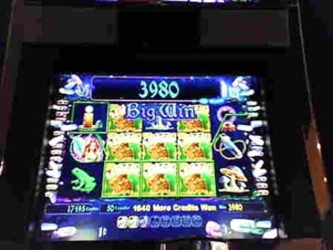 €955 Daily freeroll slot tournament at Wild Blaster Casino
