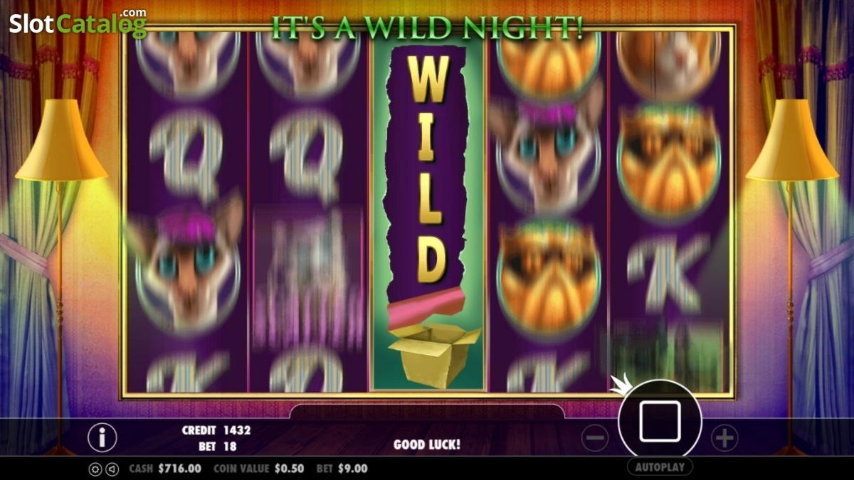 $815 Mobile freeroll slot tournament at Berlin Casino 