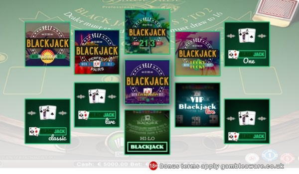 EURO 520 No Deposit Casino Bonus at Emu Casino