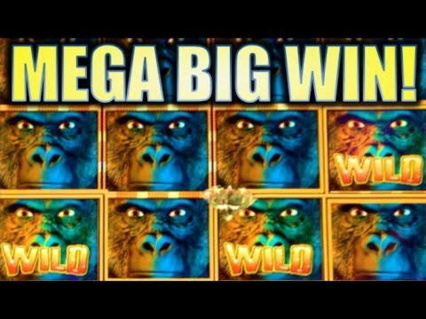 €3975 no deposit at Big Jackpots Casino 