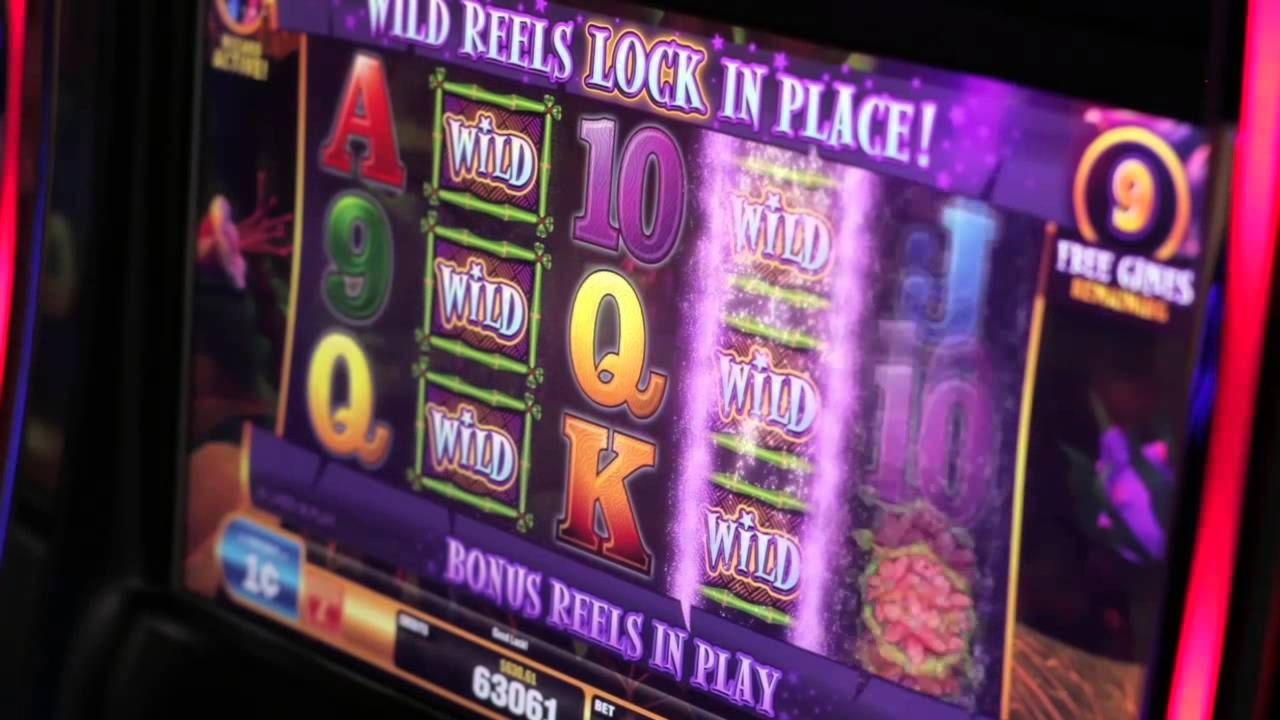 £435 Casino Tournament at Treasure Island Jackpots Casino (Australia Casino Mirror)