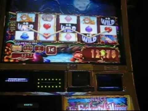735% Match Bonus Casino at Casino com