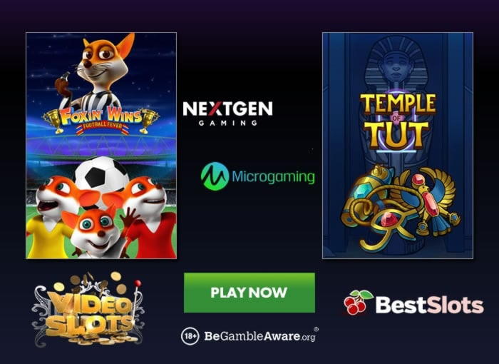 595% No Rules Bonus! at Spin Palace Casino
