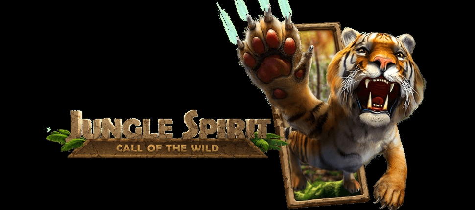 55 Free Spins Casino at Lucky Nugget Casino