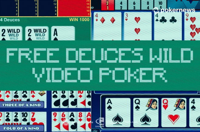 255 Free Spins at Leo Dubai Casino