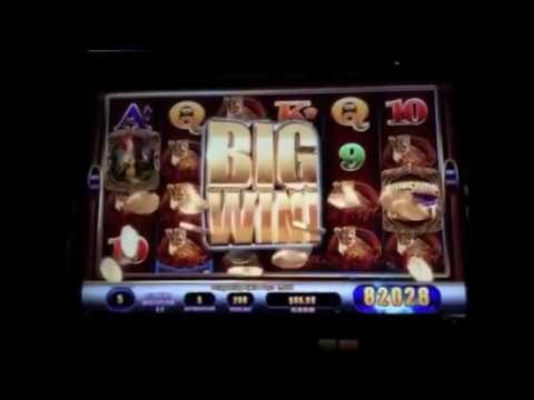 290 Loyal Free Spins! at Lucky Nugget Casino