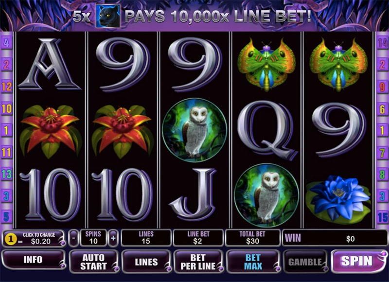EUR 2555 No deposit at Joy Casino