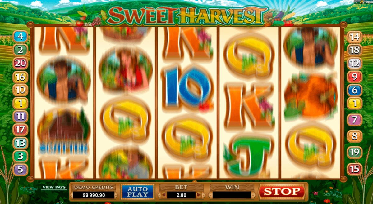 Eur 595 Free Chip at Casino com
