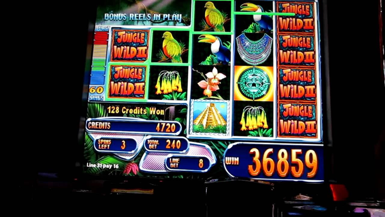 530% First deposit bonus at Wild Blaster Casino
