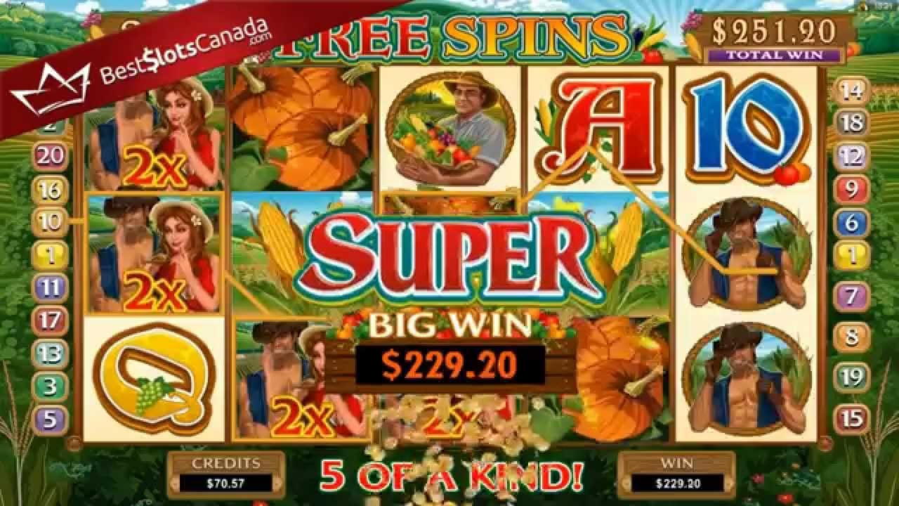 Eur 970 No deposit bonus casino at Emu Casino