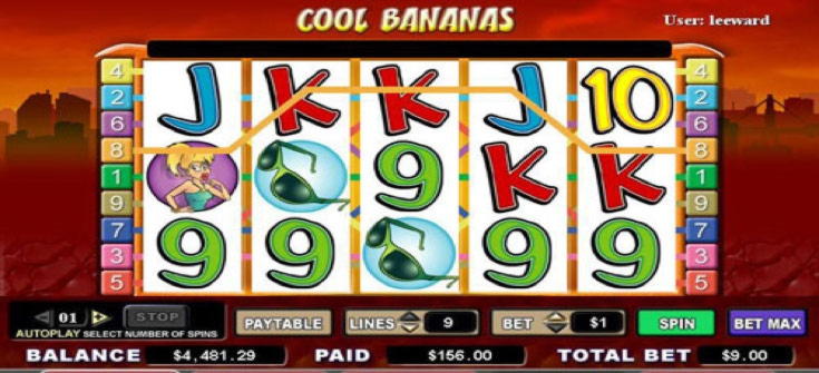 EURO 65 Free Money at Dunder Casino