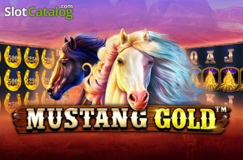 €333 Free Cash at Dunder Casino