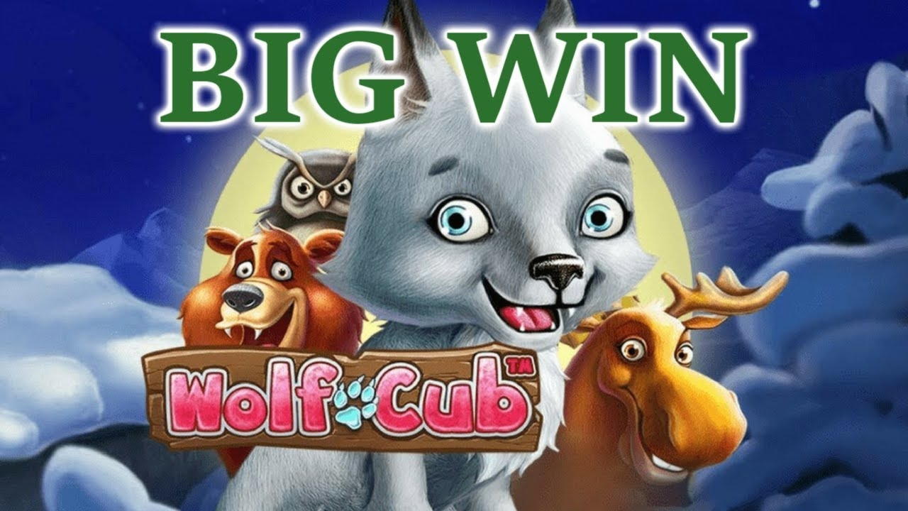205 FREE Spins at Wild Blaster Casino