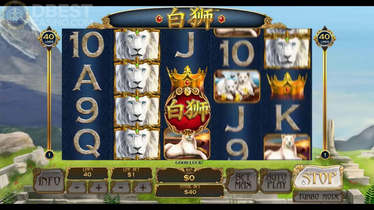 €980 Free Casino Tournament at Wild Blaster Casino