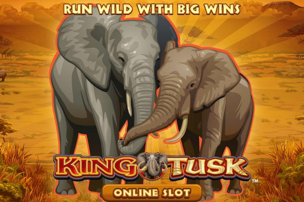 EURO 560 FREE CASINO CHIP at All Slots Casino