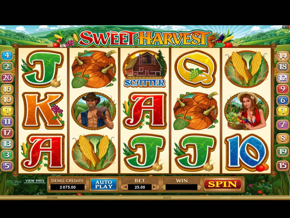 660% Best signup bonus casino at River Belle Casino