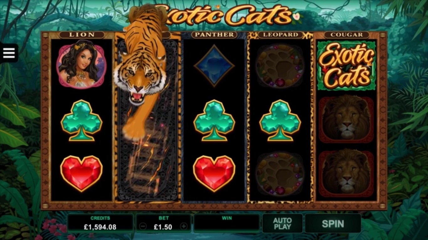 €670 Casino Tournament at Jelly Bean Casino
