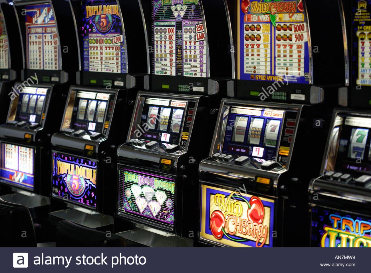 $735 Casino Tournament at Jelly Bean Casino