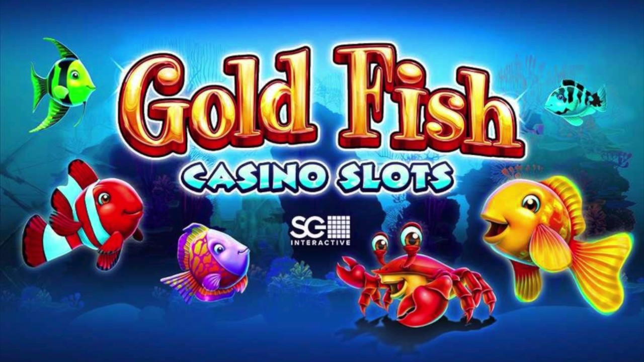 $220 Daily freeroll slot tournament at Lucky Nugget Casino