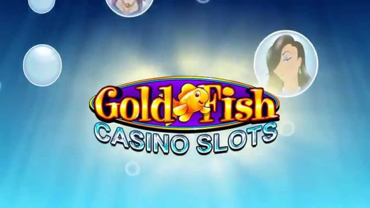 500% First deposit bonus at Dunder Casino