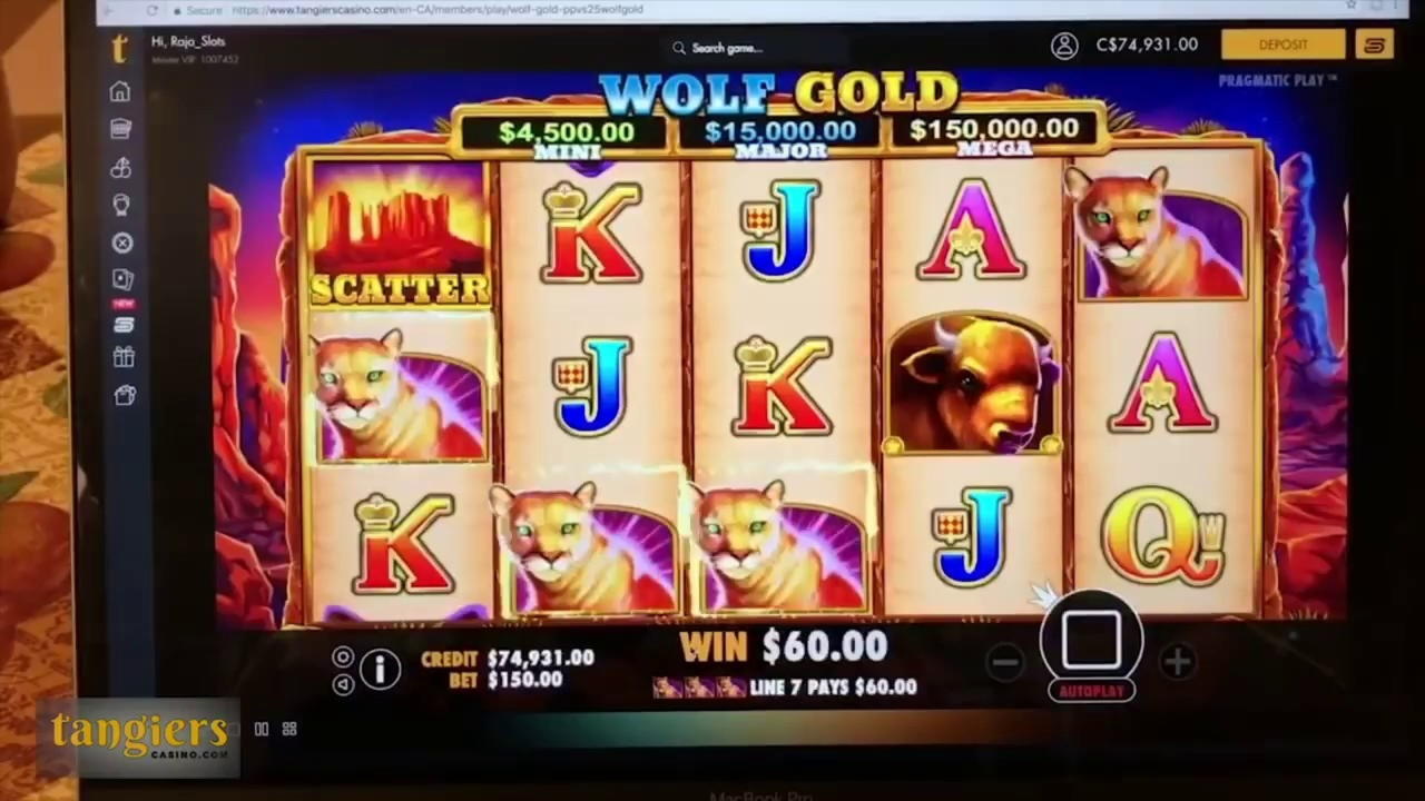 55 Free Spins no deposit at Spin Palace Casino
