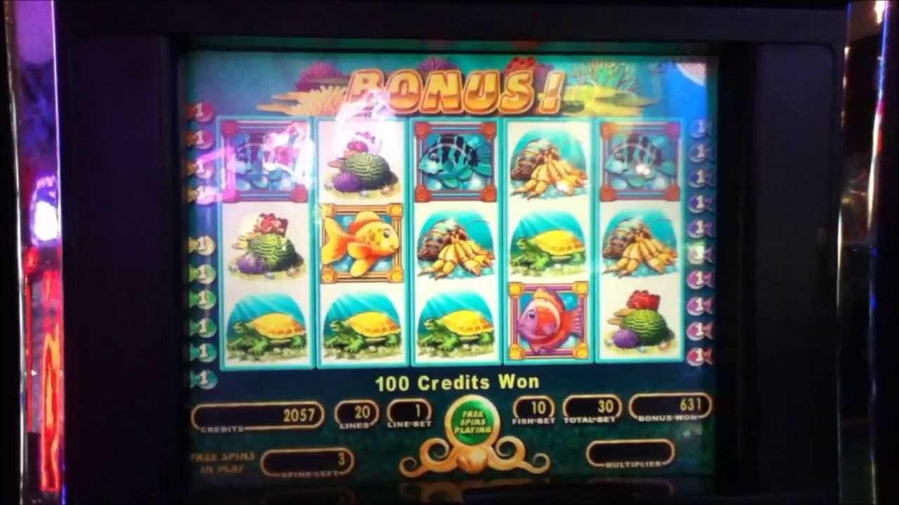 250 FREE Spins at Wild Blaster Casino