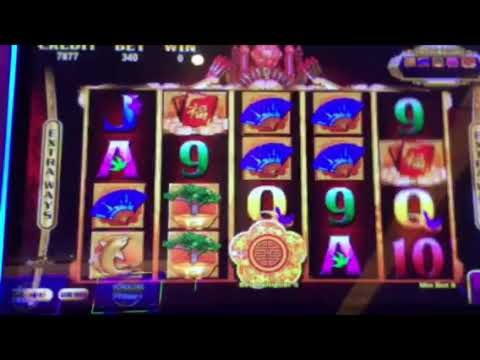 €830 Online Casino Tournament at Spin Palace Casino