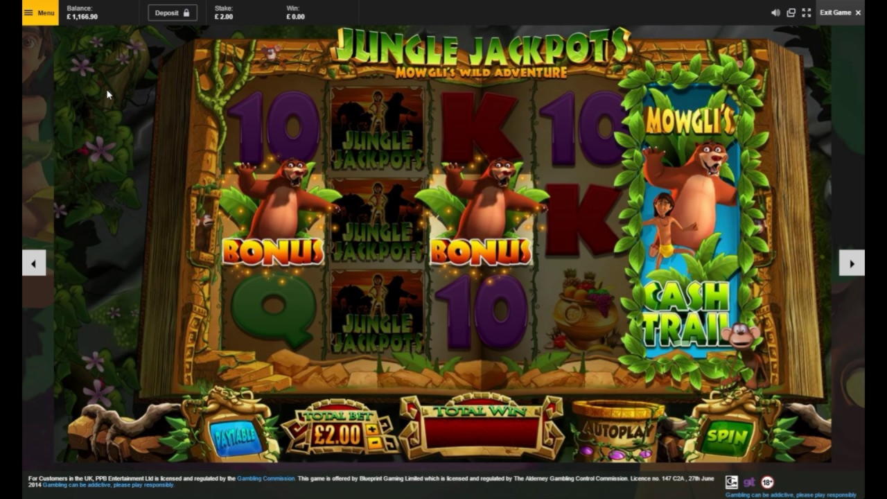 €905 Daily freeroll slot tournament at Dunder Casino