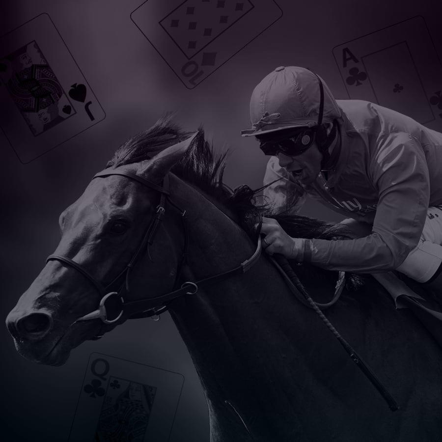 580% Best signup bonus casino at Leo Dubai Casino