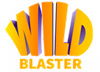 Wild Blaster Casino